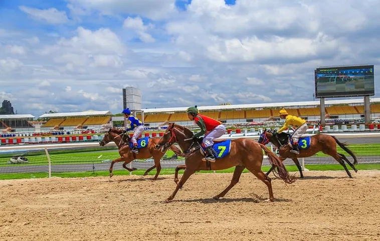 Tìm Hiểu Cá Cược Đua Ngựa Trực Tuyến Uy Tín Tại Xin88 2 Tìm Hiểu Cá Cược Đua Ngựa Trực Tuyến Uy Tín Tại Xin88