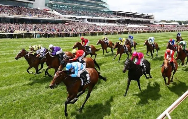 Tìm Hiểu Cá Cược Đua Ngựa Trực Tuyến Uy Tín Tại Xin88 1 Tìm Hiểu Cá Cược Đua Ngựa Trực Tuyến Uy Tín Tại Xin88