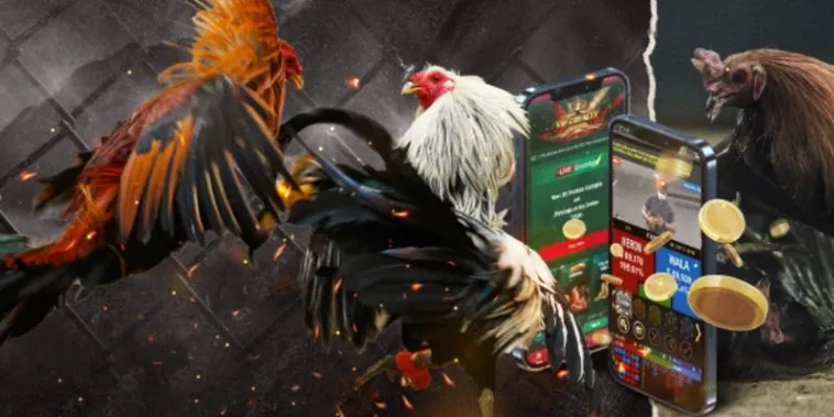 Cách Chơi Đá Gà GA28 Tại Xin88 Với Luật Đơn Giản Và Hấp Dẫn 2 Cách Chơi Đá Gà GA28 Tại Xin88 Với Luật Đơn Giản Và Hấp Dẫn