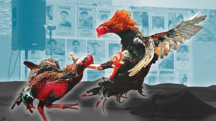 Cách Chơi Đá Gà Sabong Tại Xin88 Hiểu Luật Và Bí Quyết Thắng 2 Cách Chơi Đá Gà Sabong Tại Xin88 Hiểu Luật Và Bí Quyết Thắng