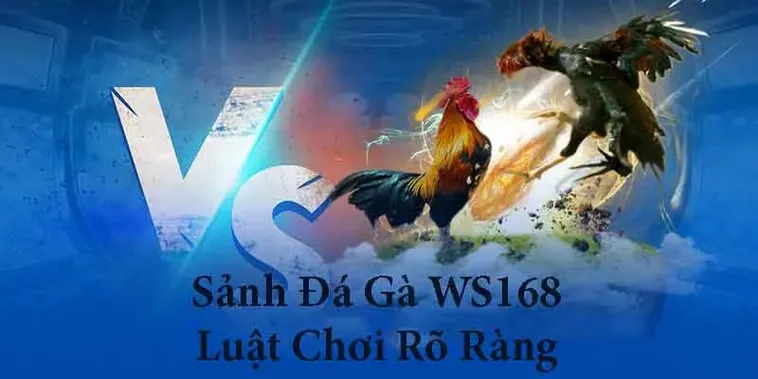 Cách Chơi Đá Gà Ws168 Tại Xin88 Với Mẹo Hiệu Quả Cao 2 Cách Chơi Đá Gà Ws168 Tại Xin88 Với Mẹo Hiệu Quả Cao