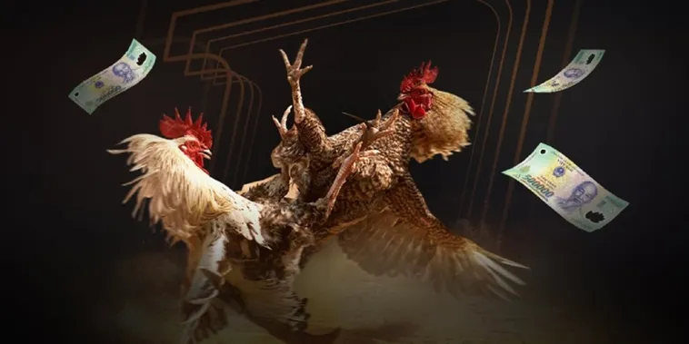 Đá Gà Xin88 Sân Chơi Cá Cược Trực Tuyến Uy Tín Hấp Dẫn 1 Đá Gà Xin88 Sân Chơi Cá Cược Trực Tuyến Uy Tín Hấp Dẫn