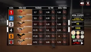 Cách Chơi Game Nhanh Đua Chó Hiệu Quả Tại Xin88