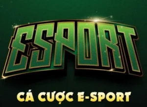 Cách Chơi Thể Thao Điện Tử Tại Xin88 Hiệu Quả Cho Người Mới